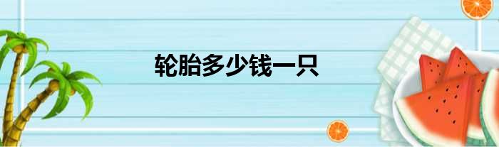 轮胎多少钱一只