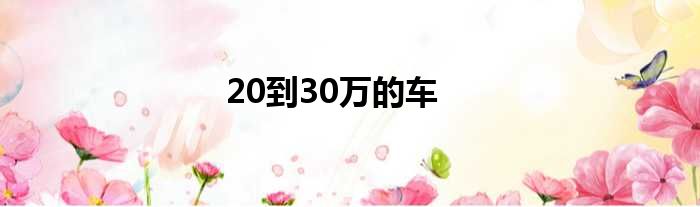 20到30万的车