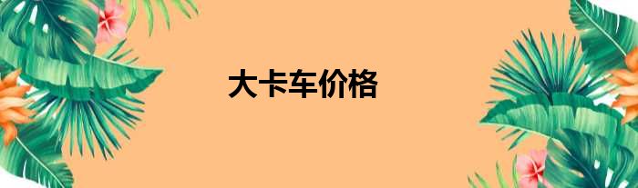 大卡车价格