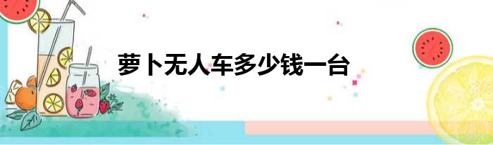 萝卜无人车多少钱一台