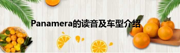 Panamera的读音及车型介绍