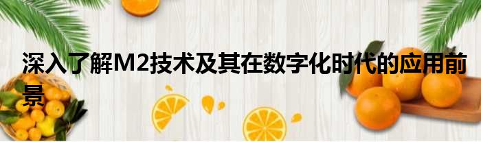 深入了解M2技术及其在数字化时代的应用前景