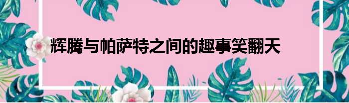 辉腾与帕萨特之间的趣事笑翻天