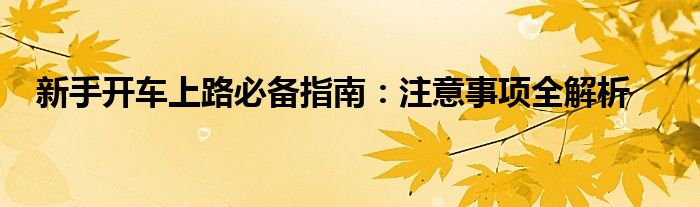 新手开车上路必备指南：注意事项全解析