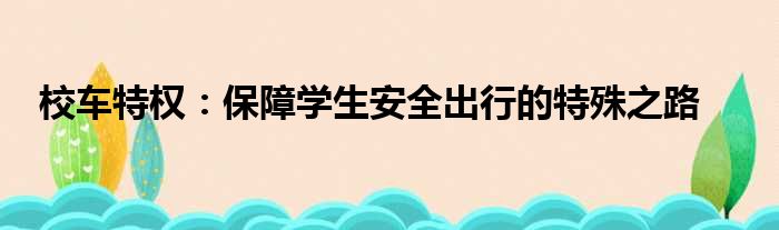 校车特权：保障学生安全出行的特殊之路