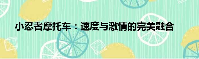 小忍者摩托车：速度与激情的完美融合