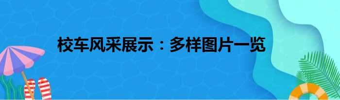 校车风采展示：多样图片一览