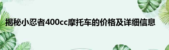 揭秘小忍者400cc摩托车的价格及详细信息