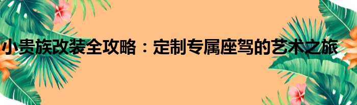 小贵族改装全攻略：定制专属座驾的艺术之旅