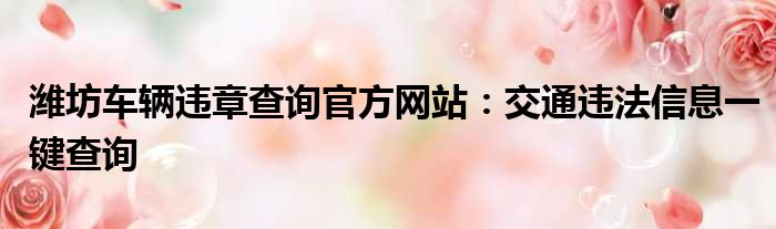 潍坊车辆违章查询官方网站：交通违法信息一键查询