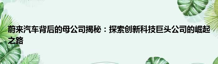 蔚来汽车背后的母公司揭秘：探索创新科技巨头公司的崛起之路