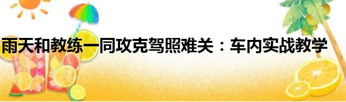 雨天和教练一同攻克驾照难关：车内实战教学