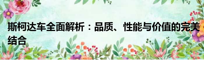 斯柯达车全面解析：品质、性能与价值的完美结合