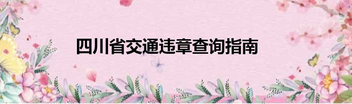 四川省交通违章查询指南